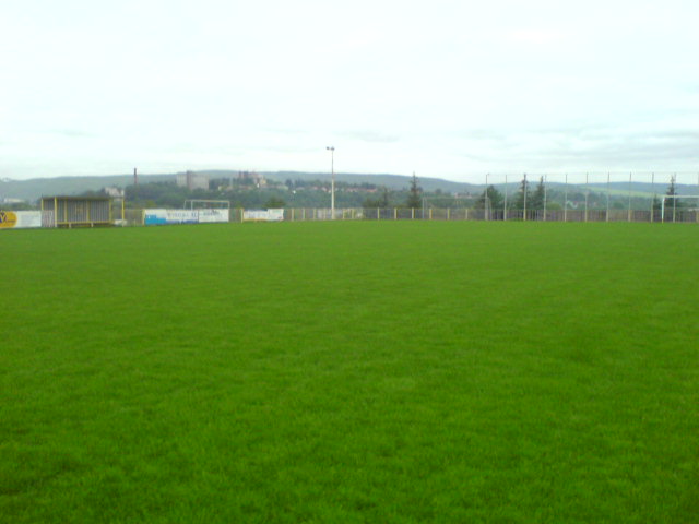 DSC00349.jpg