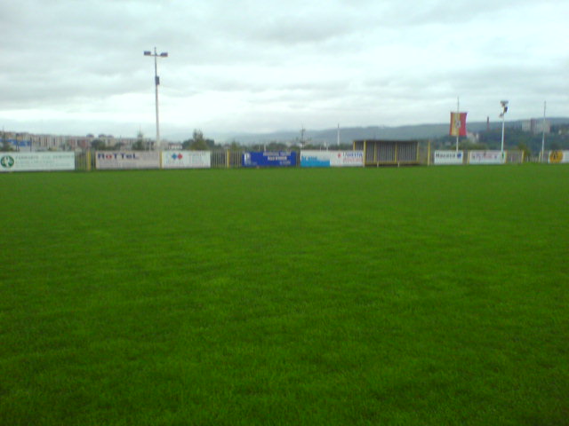 DSC00351.jpg