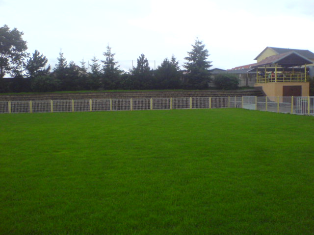 DSC00352.jpg