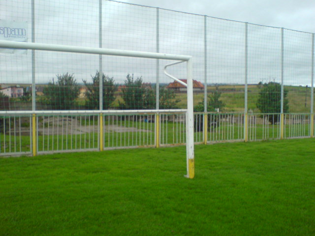 DSC00353.jpg