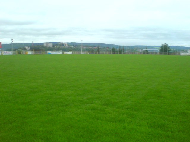 DSC00360.jpg